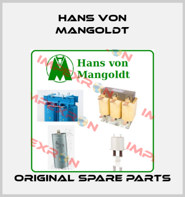 Hans von Mangoldt