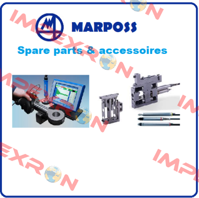 2919917110 Marposs