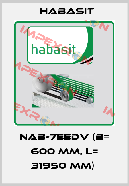 NAB-7EEDV (B= 600 mm, L= 31950 mm)  Habasit