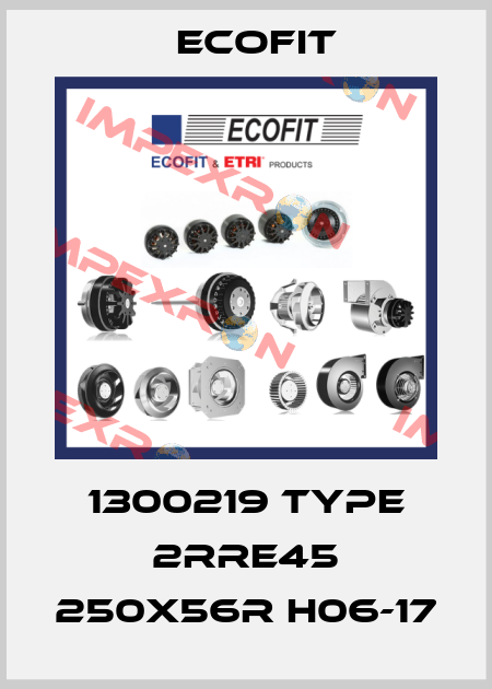 1300219 Type 2RRE45 250x56R H06-17 Ecofit