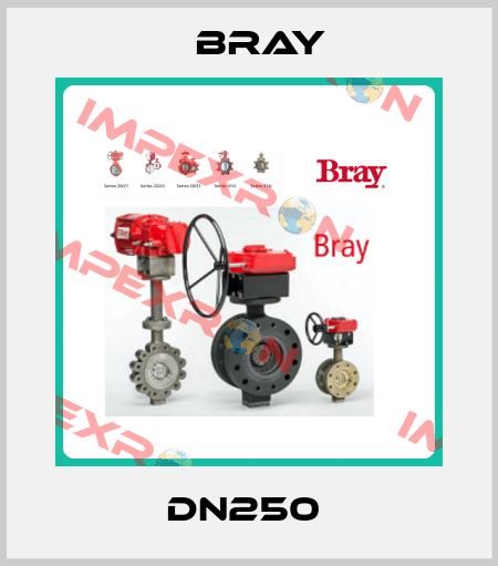 DN250  Bray