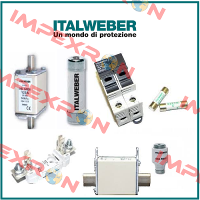 0110040  Italweber