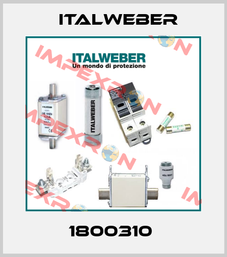 1800310  Italweber