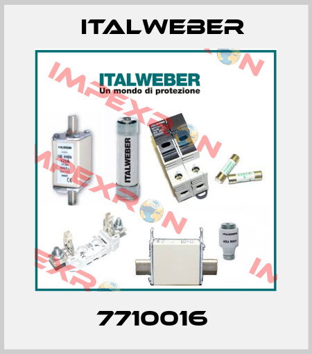7710016  Italweber
