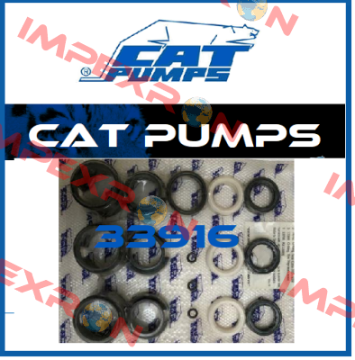 33916 Cat Pumps