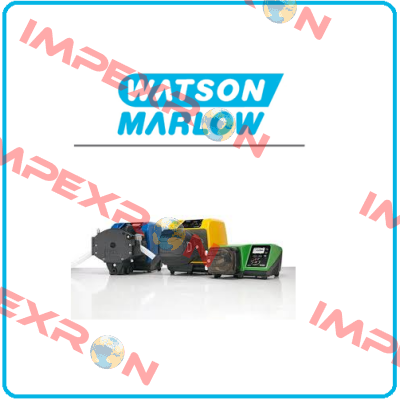 065020  Watson Marlow