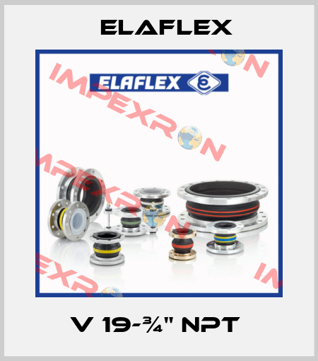 V 19-¾" NPT  Elaflex