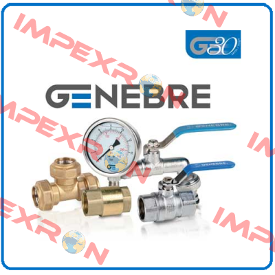 Repair kit for butterfly-valve DN300 PN10   Genebre