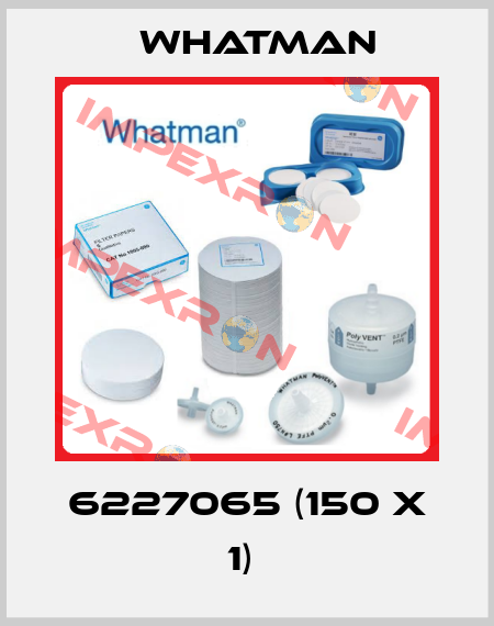 6227065 (150 x 1)  Whatman