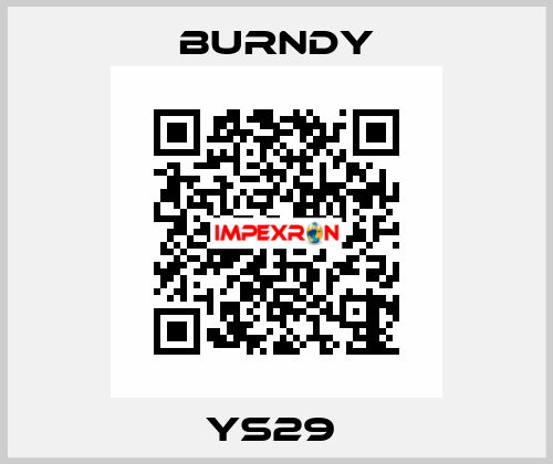 YS29  Burndy