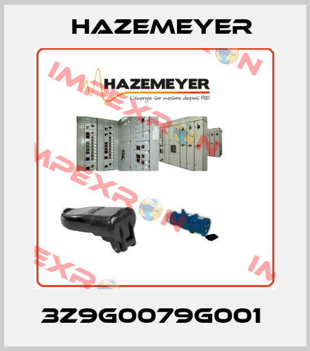3Z9G0079G001  Hazemeyer