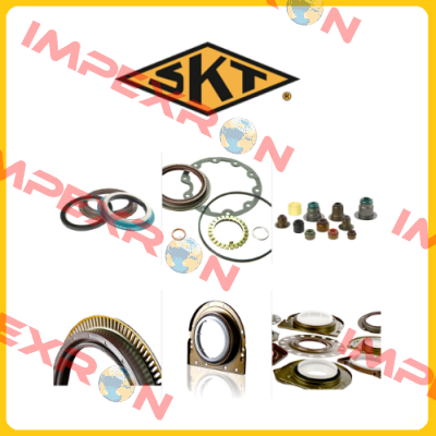 410263(100X125X13 L3L) SKT
