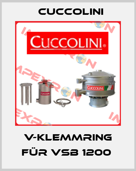 V-Klemmring für VSB 1200  Cuccolini