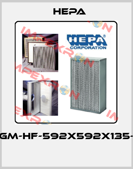 3GGM-HF-592x592x135-95  HEPA