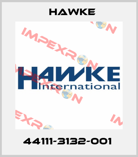 44111-3132-001  Hawke