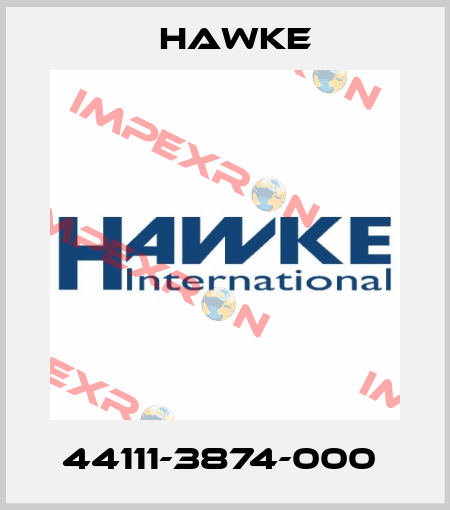 44111-3874-000  Hawke