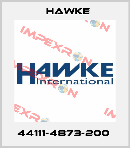 44111-4873-200  Hawke