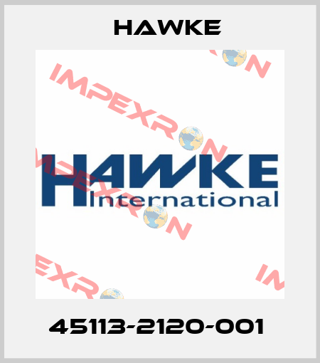 45113-2120-001  Hawke