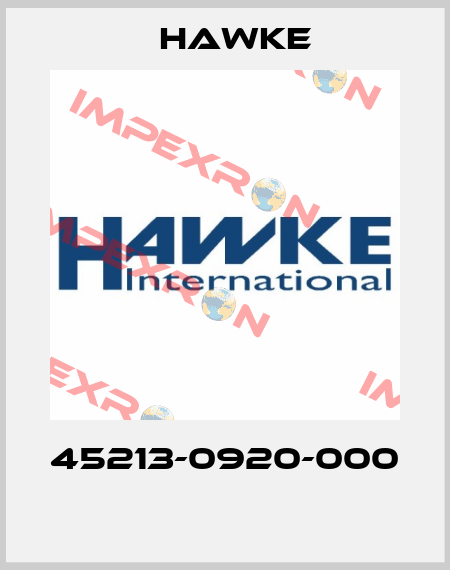 45213-0920-000  Hawke