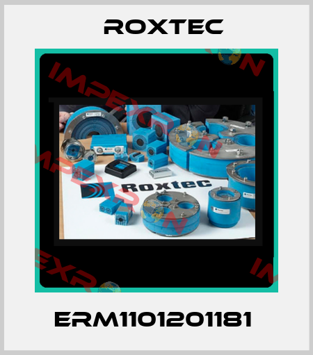 ERM1101201181  Roxtec