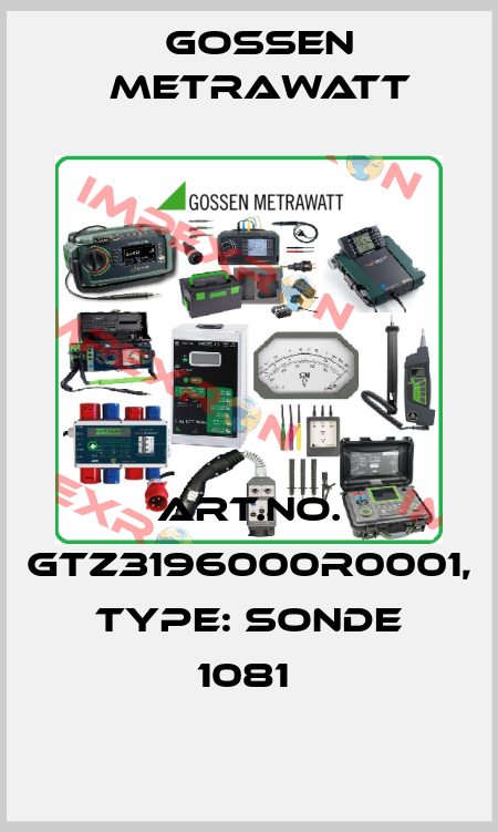 Art.No. GTZ3196000R0001, Type: Sonde 1081  Gossen Metrawatt