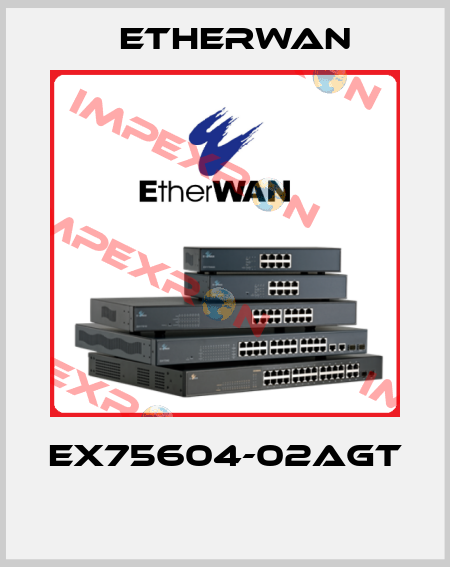 EX75604-02AGT  Etherwan