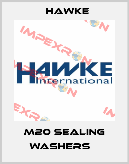 M20 Sealing Washers ‐ Hawke
