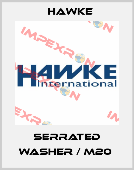 SERRATED WASHER / M20  Hawke