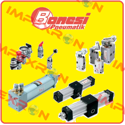 CNM0800060  Bonesi Pneumatic