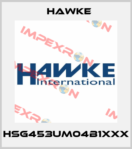 HSG453UM04B1XXX Hawke