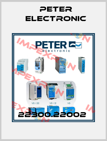 22300.22002  Peter Electronic