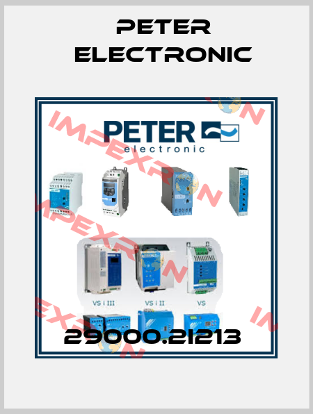 29000.2I213  Peter Electronic