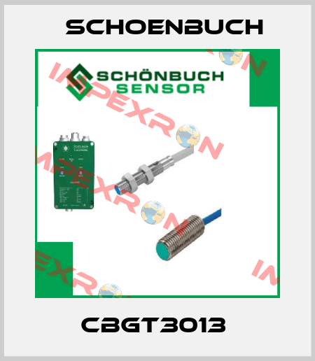 CBGT3013  Schoenbuch