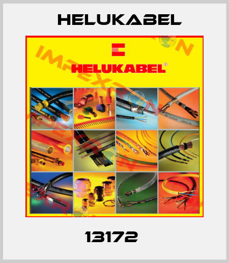 13172  Helukabel