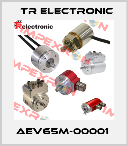 AEV65M-00001  TR Electronic