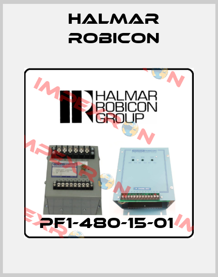 PF1-480-15-01  Halmar Robicon