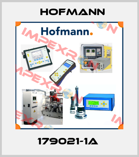 179021-1A  Hofmann