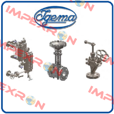 20-00102  Igema