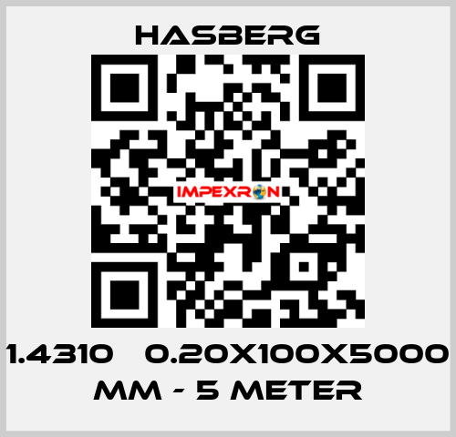 1.4310   0.20X100X5000 MM - 5 METER Hasberg