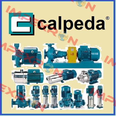 65/125S/A 4 KW  Calpeda