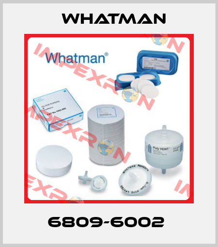 6809-6002  Whatman