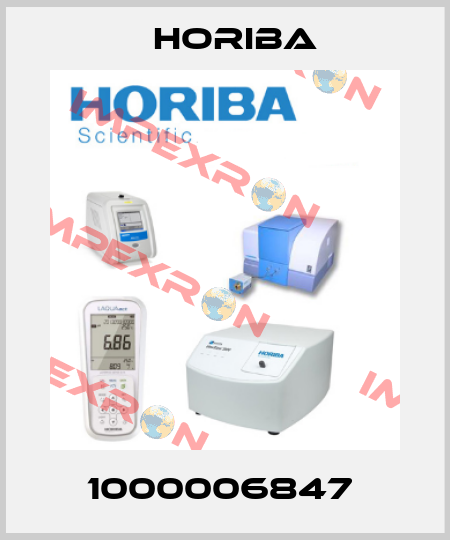 1000006847  Horiba