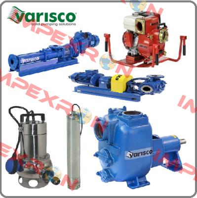 10006801  Varisco pumps