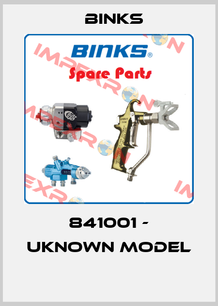 841001 - UKNOWN MODEL  Binks