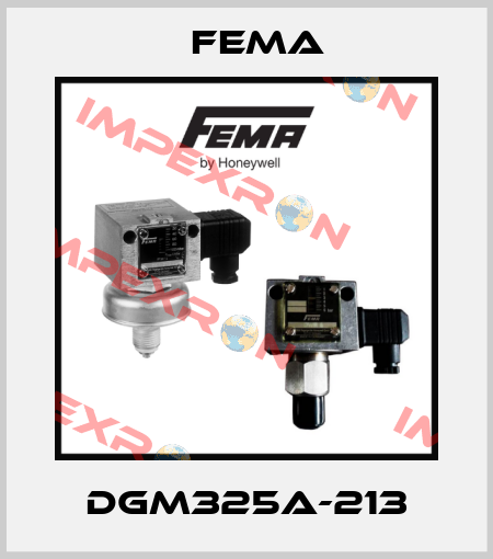 DGM325A-213 FEMA