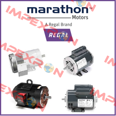 BVN61063  Marathon (Regal)