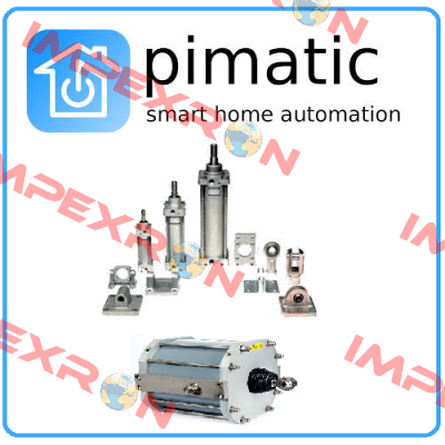 100E P2520-125/32-160  Pimatic