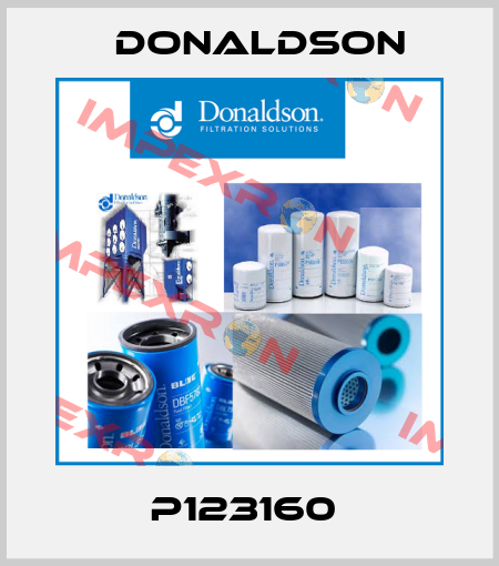 P123160  Donaldson