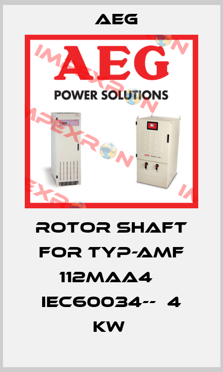 Rotor shaft for TYP-AMF 112MAA4   IEC60034--  4 kw  AEG