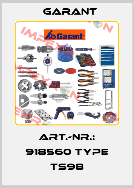 Art.-Nr.: 918560 Type TS98 Garant